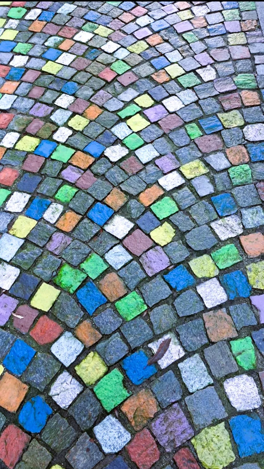 Sampietrini dipinti con tanti colori