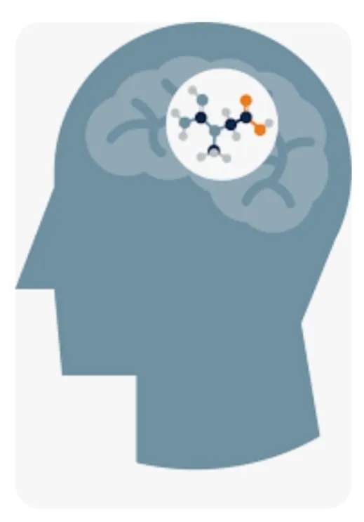 Illustrazione di una testa con il cervello e una molecola