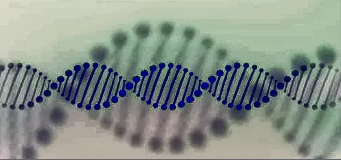 Illustrazione di una doppia elica di DNA